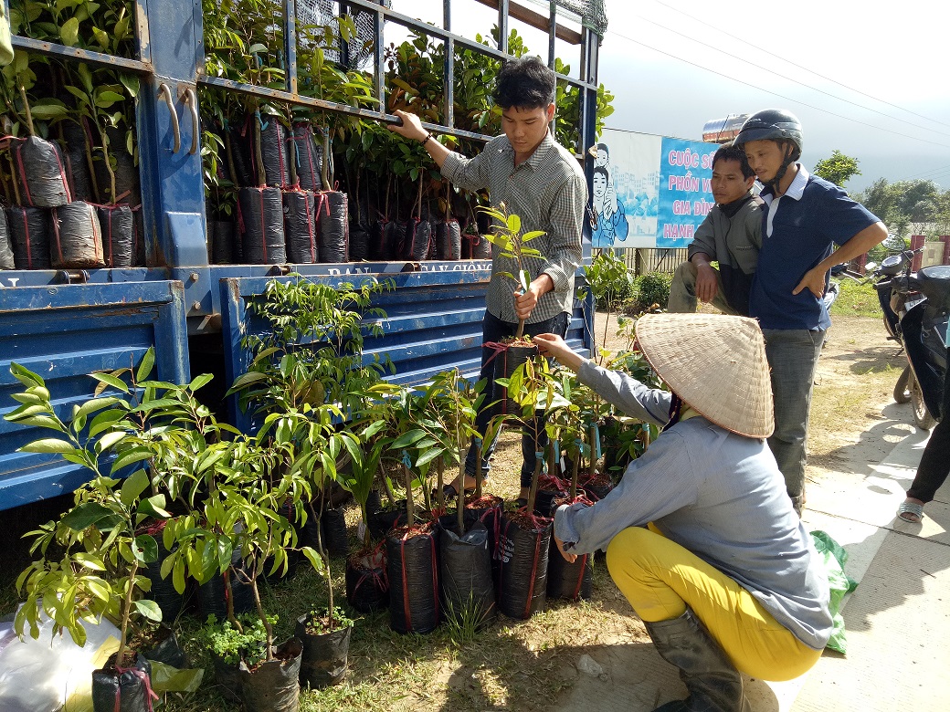 Những kết quả đạt được trong triển khai thực hiện quyết định 755 của thủ tướng Chính phủ tại huyện M'Drắk.